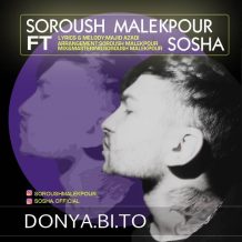 دانلود آهنگ جدید سروش ملک پور و سوشا به نام دنیا بی تو